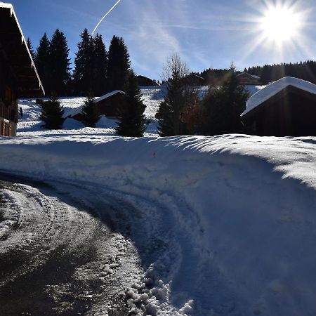 Apartment In Northern Alps With Skiing Nearby Les Gets Buitenkant foto