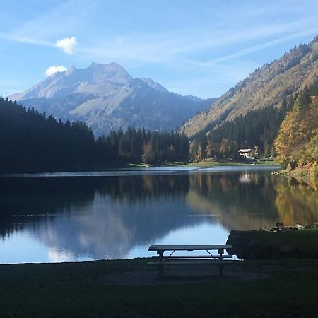 Apartment In Northern Alps With Skiing Nearby Les Gets Buitenkant foto