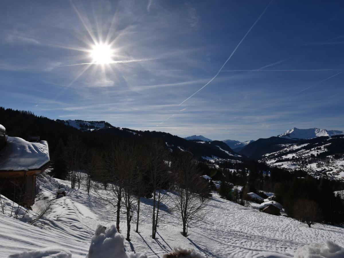 Apartment In Northern Alps With Skiing Nearby Les Gets Buitenkant foto