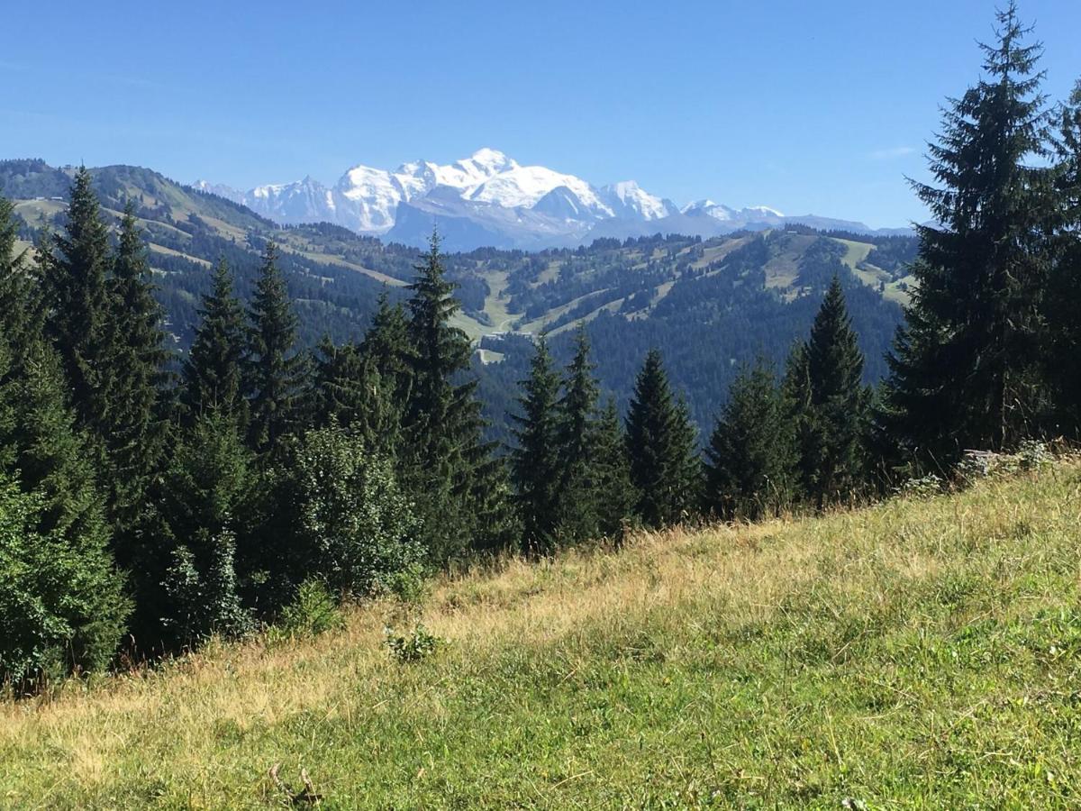 Apartment In Northern Alps With Skiing Nearby Les Gets Buitenkant foto