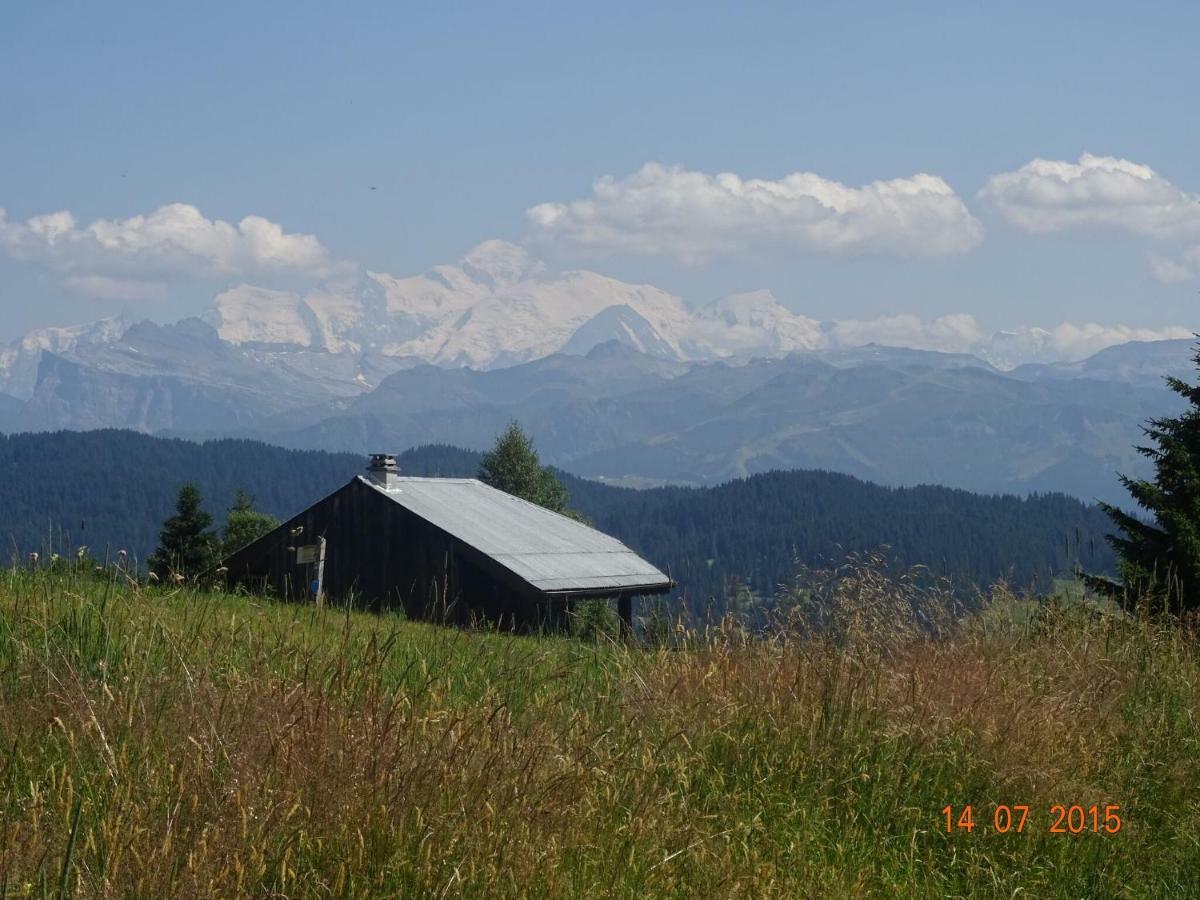 Apartment In Northern Alps With Skiing Nearby Les Gets Buitenkant foto